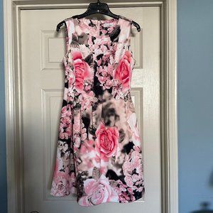 NWOT Calvin Klein Scuba Dress-  Pink and Black Floral Rose- 6 Petite